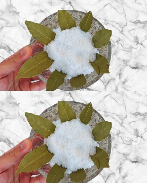 Folhas de Louro e Sal: uma mistura que vale ouro! Minha avó me ensinou a usá-lo assim! - Receita Completa