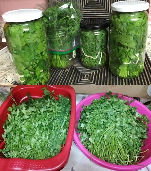 Assim que se Guarda a Salsa - Receita Completa
